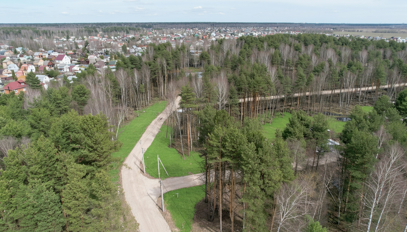 Фото Богородск Форест