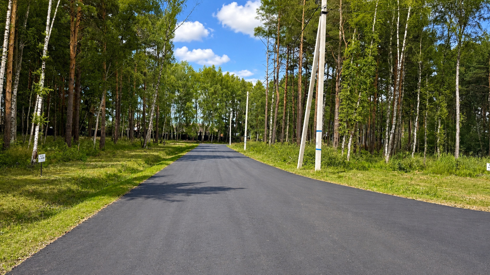 Фото Богородск Форест