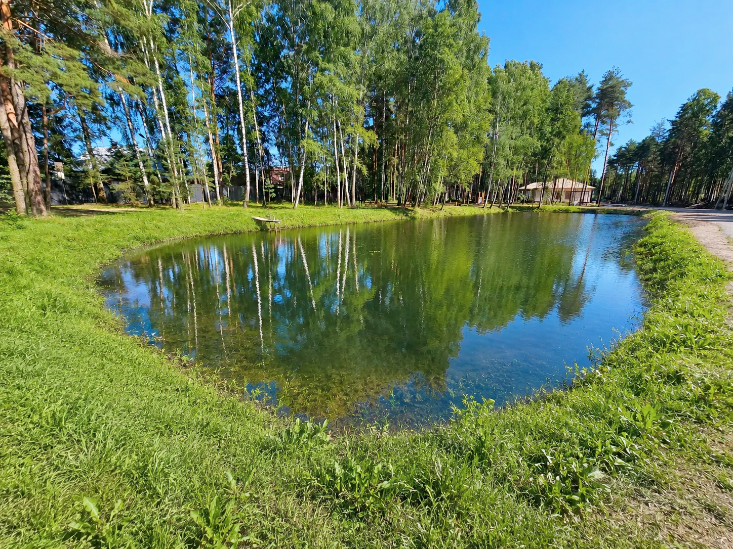 Фото Богородск Форест