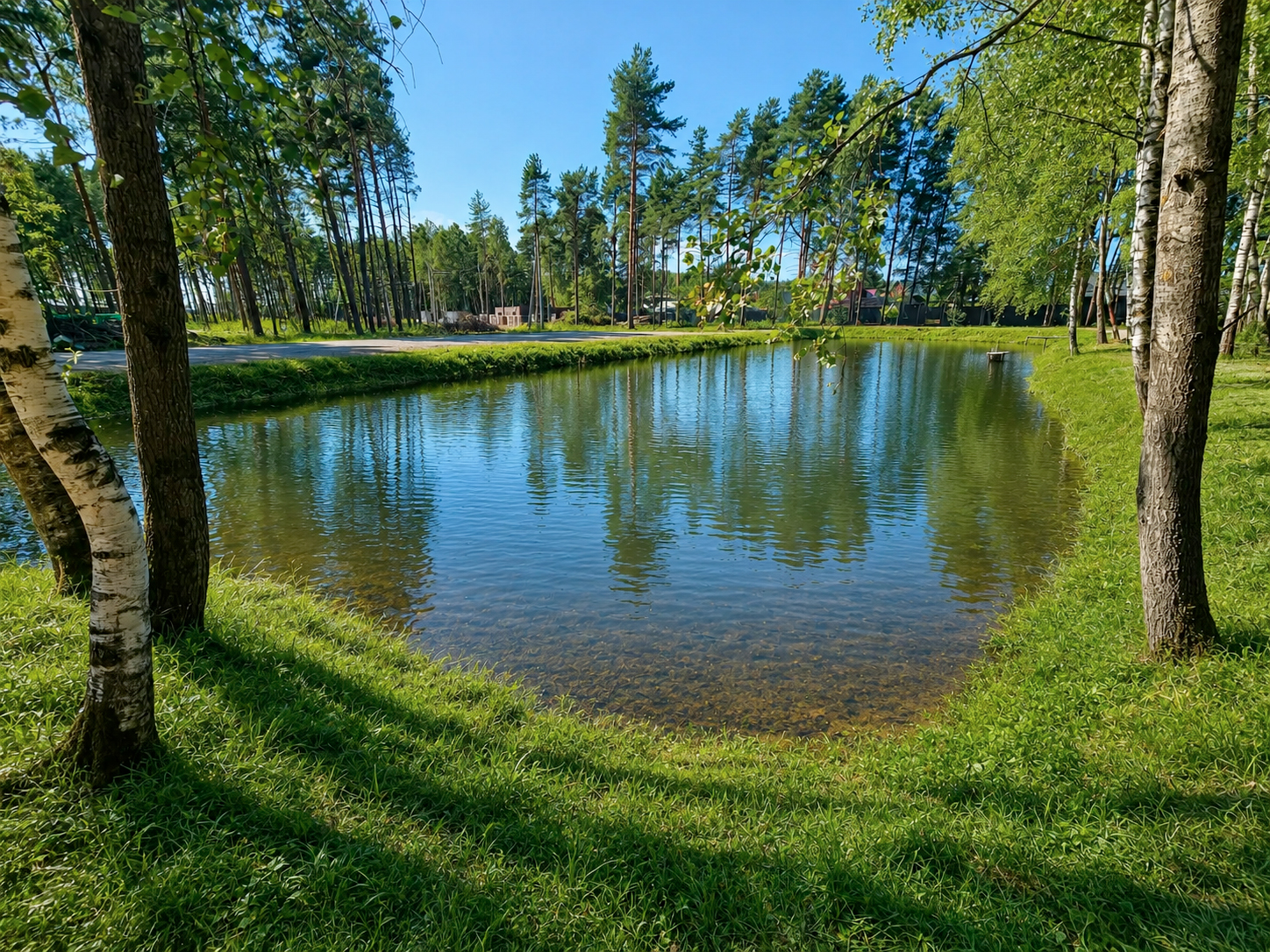 Фото Богородск Форест