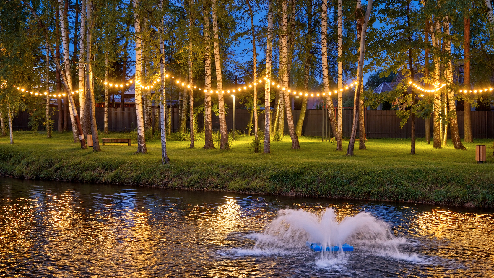 Фото Богородск Форест