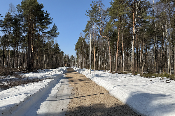 Коттеджный посёлок «Богородск Форест»