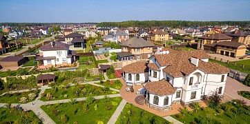 Дауншифтинг на грядках: почему топ-менеджеры выбирают помидоры вместо KPI