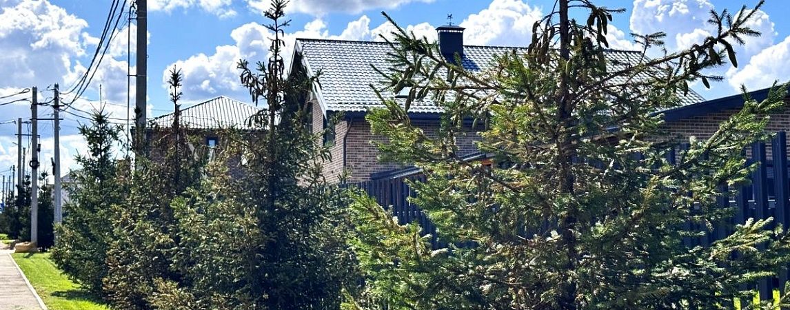 Экопоселения России: будущее зеленого строительства