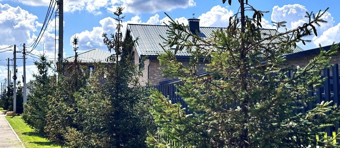 Экопоселения России: будущее зеленого строительства