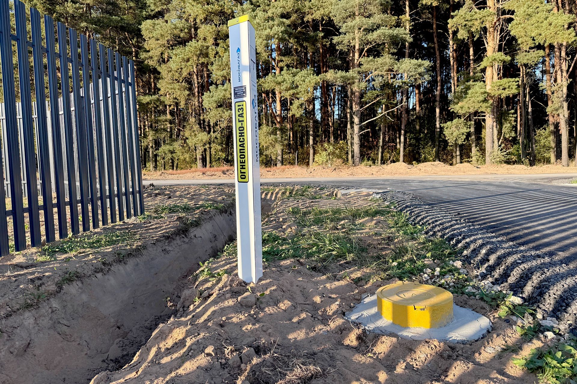 Фото Богородск Форест Фото Богородск Форест