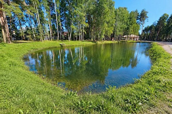 Коттеджный посёлок «Богородск Форест»
