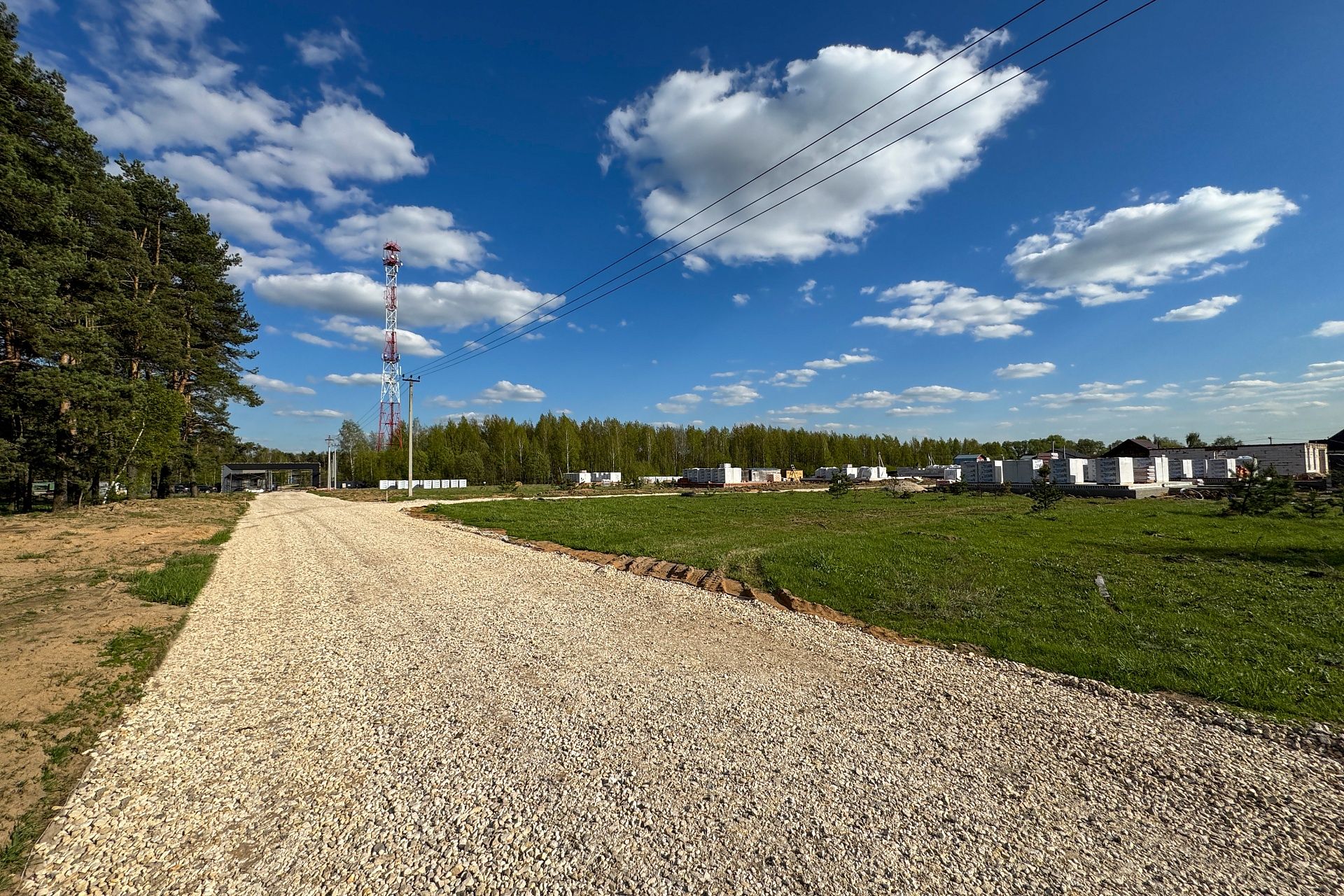 Фото Богородск Форест