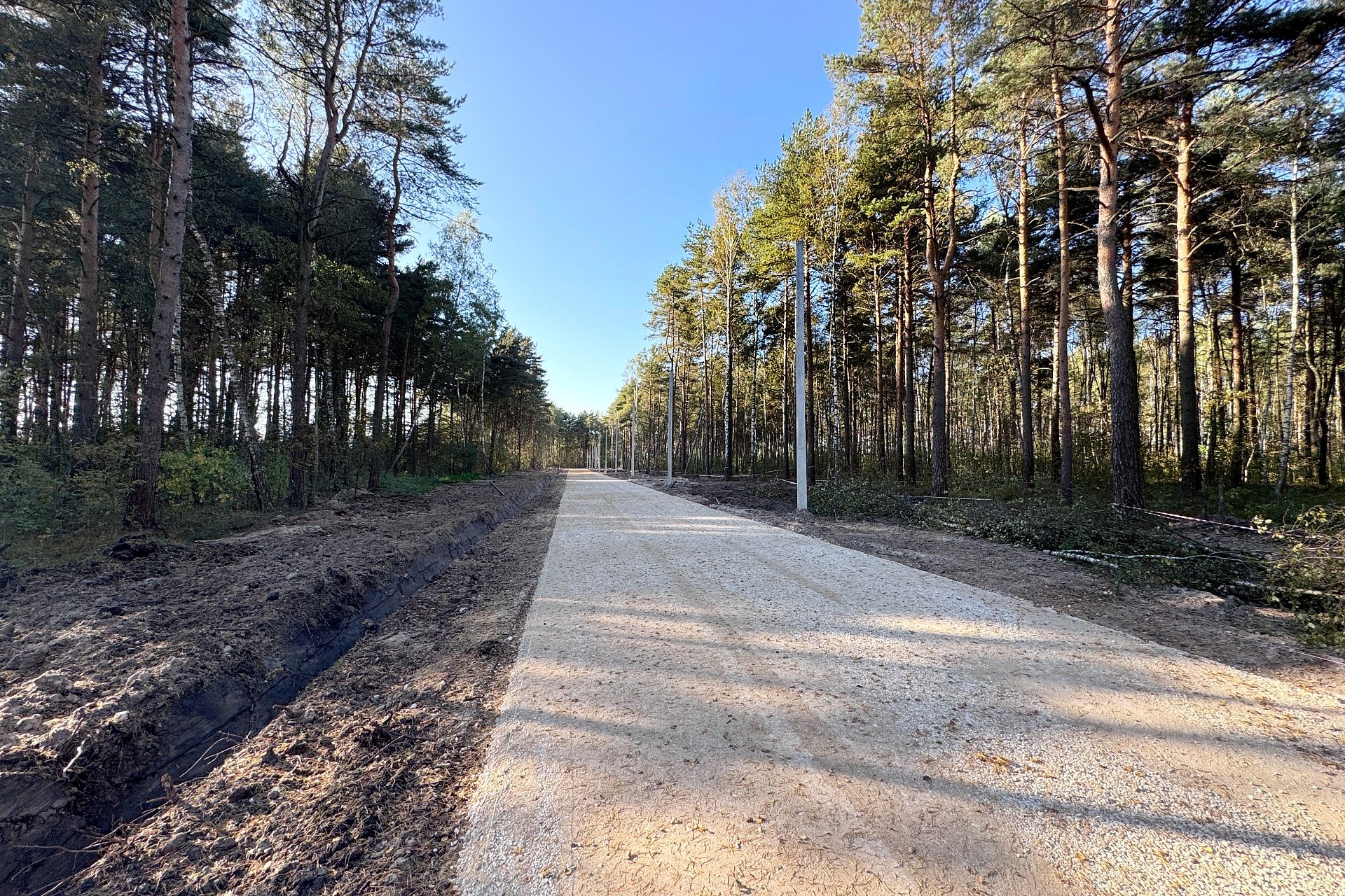 Фото Богородск Форест Фото Богородск Форест