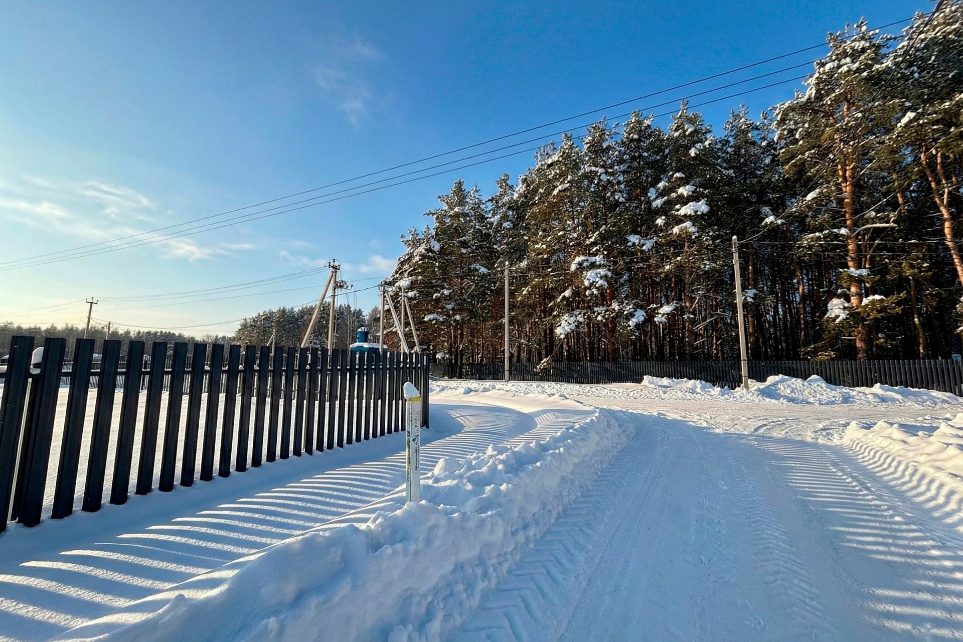Фото Богородск Форест