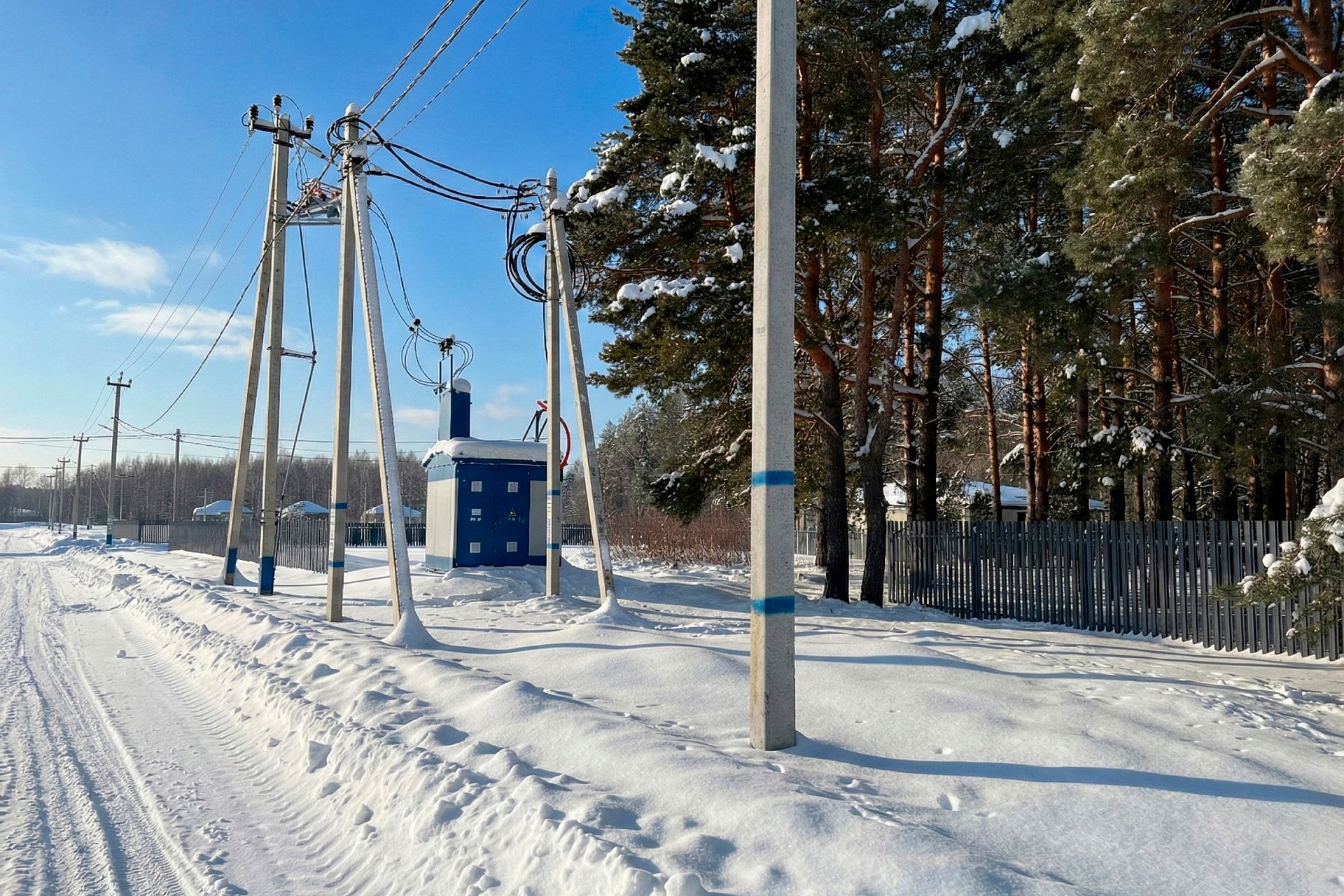 Фото Богородск Форест