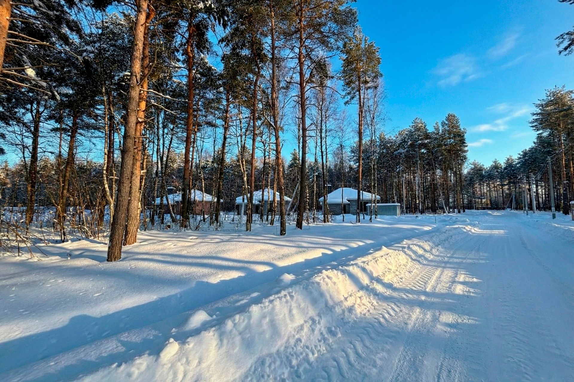 Фото Богородск Форест