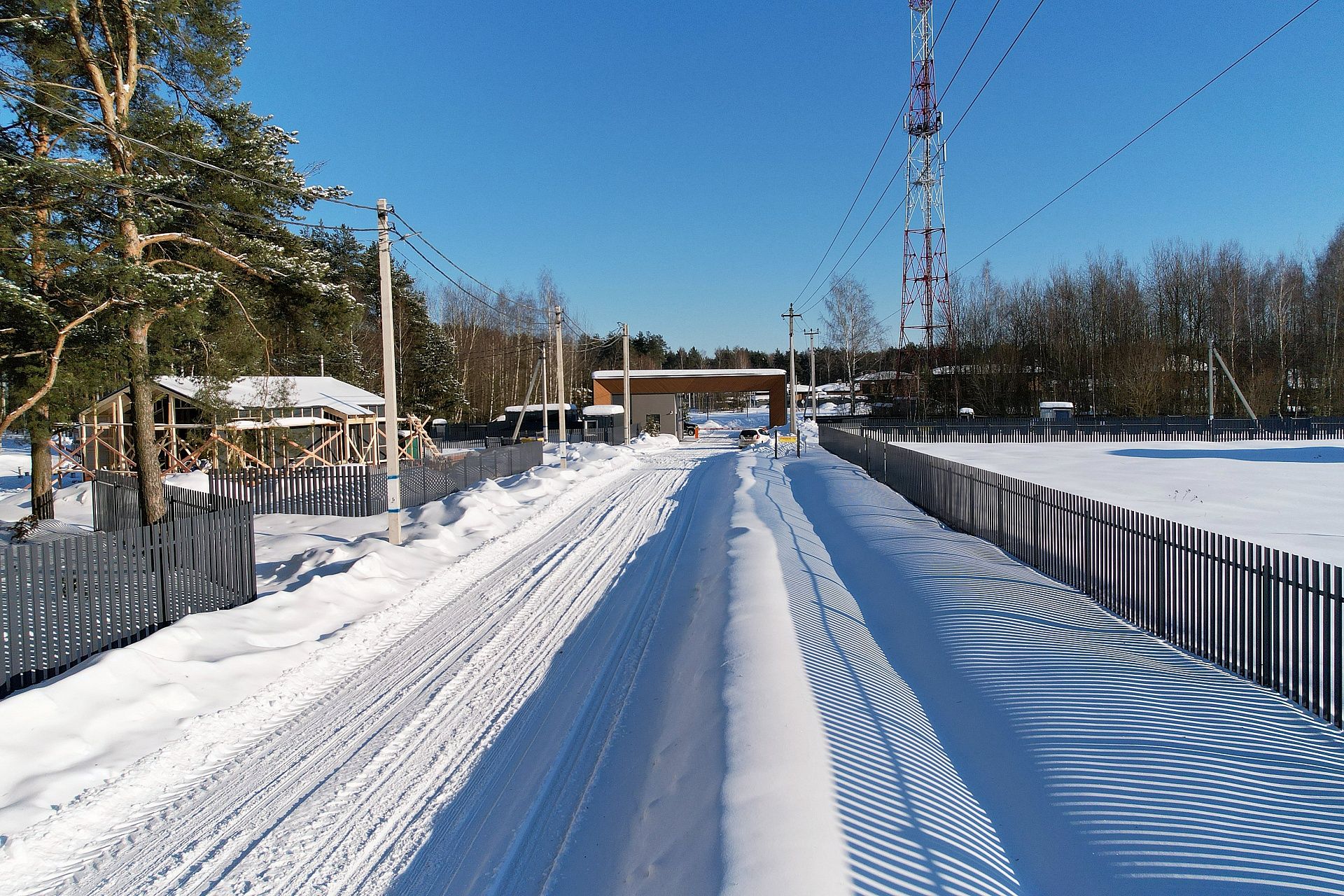 Фото Богородск Форест