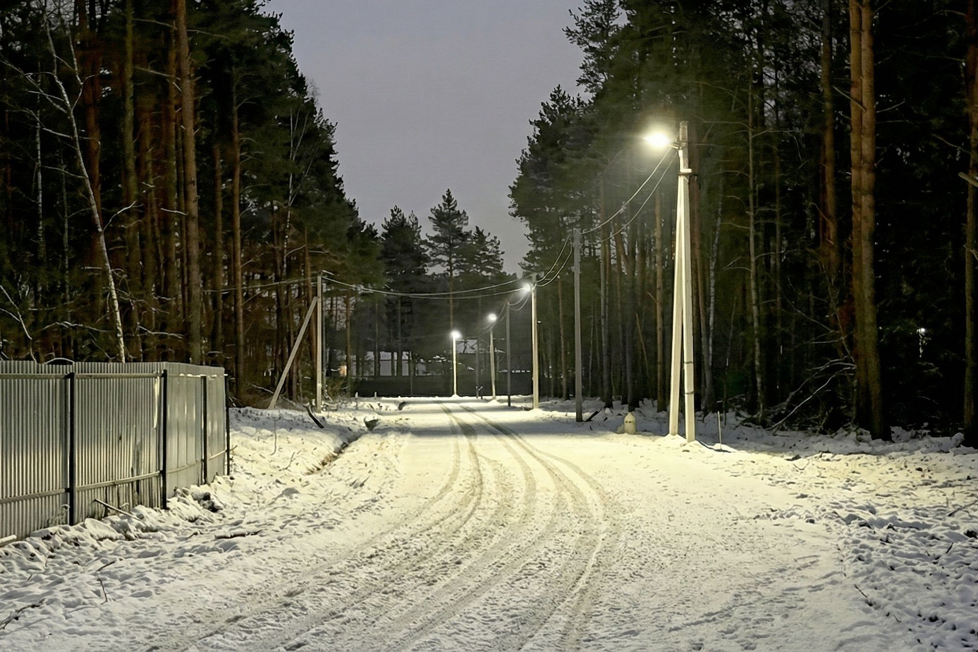 Фото Богородск Форест