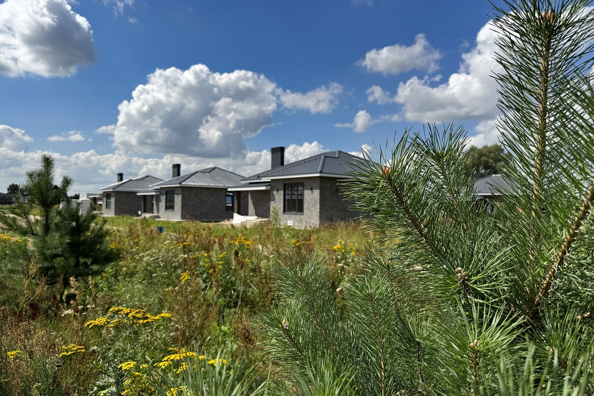 Фото Богородск Форест Фото Богородск Форест