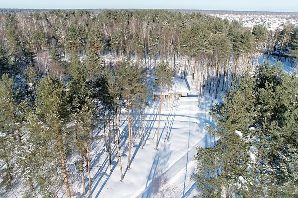 Коттеджный посёлок «Богородск Форест»
