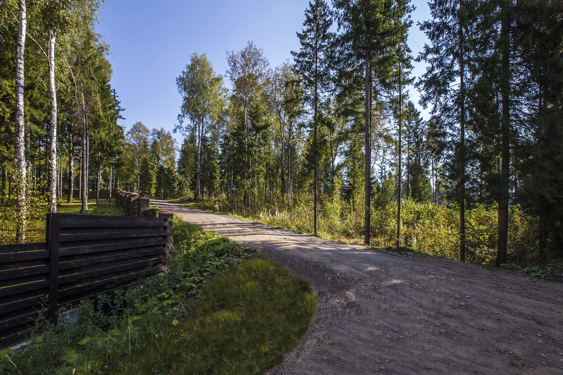 Фото Альпийские горки