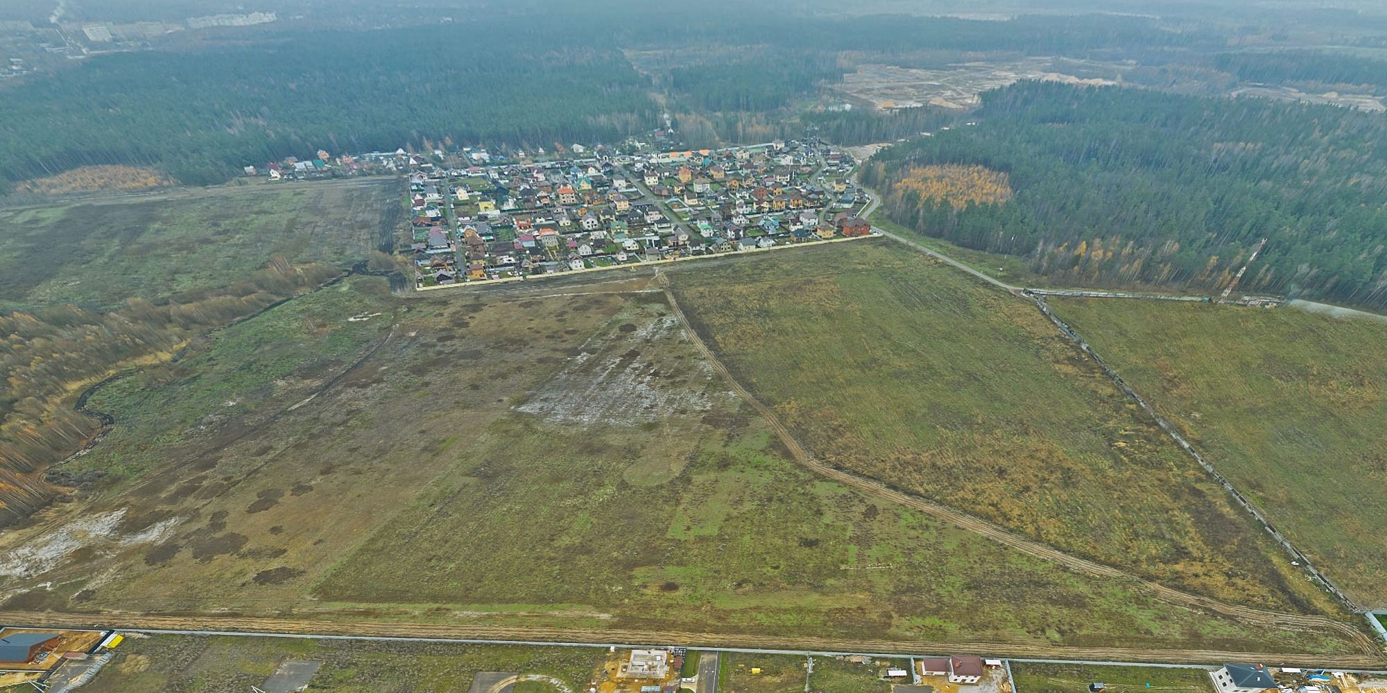 купавна растение купавна растение
