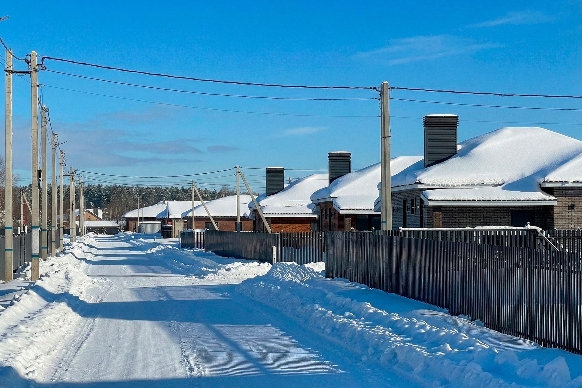 Фото Богородск Форест