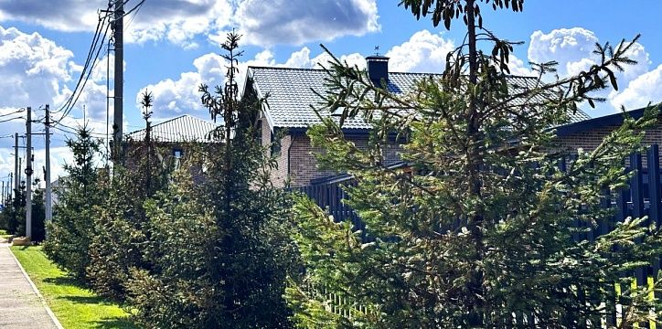 Экопоселения России: будущее зеленого строительства