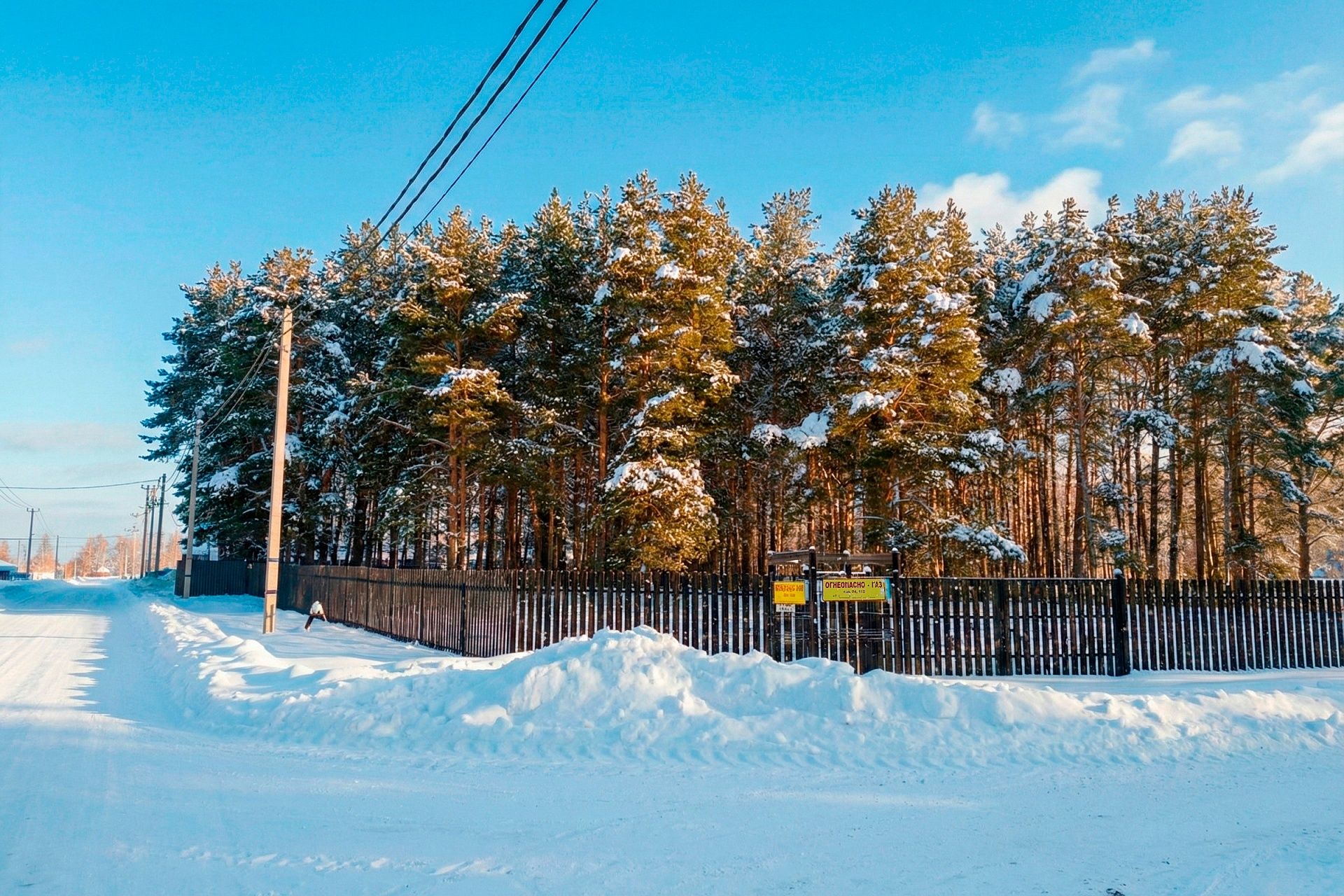 Фото Богородск Форест