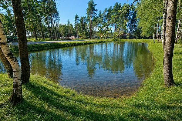 Коттеджный посёлок «Богородск Форест»