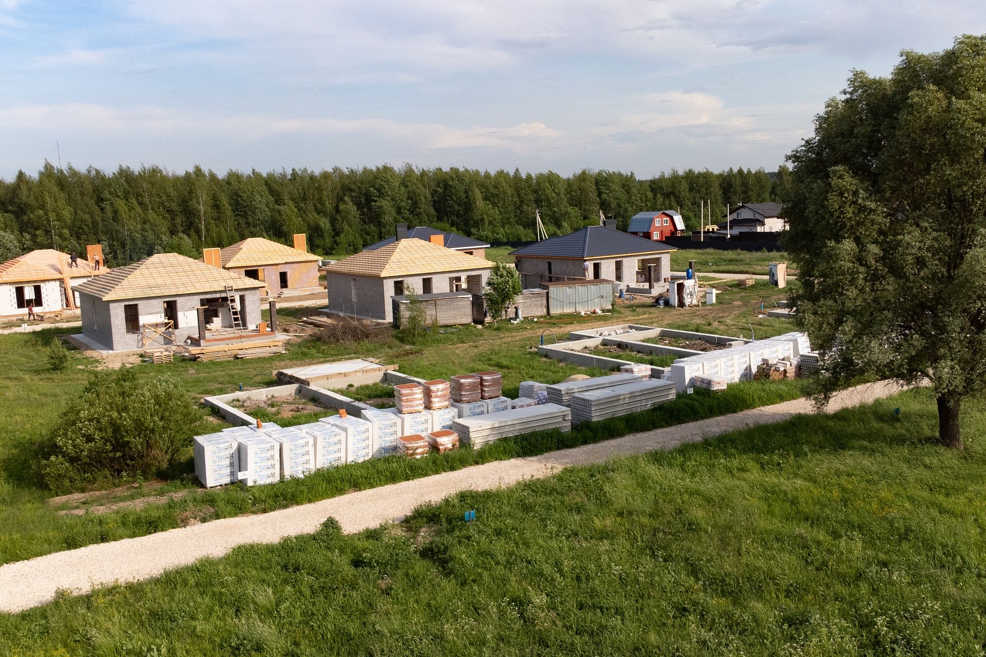Фото Богородск Форест