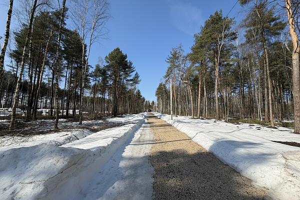 Коттеджный посёлок «Богородск Форест»